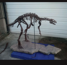 Load image into Gallery viewer, Lufengosaurus skeleton cast replica dinosaur for sale or rent