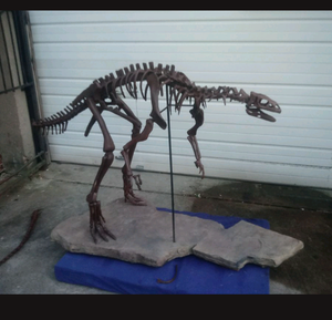 Lufengosaurus skeleton cast replica dinosaur for sale or rent