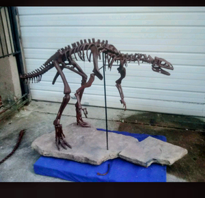 Lufengosaurus skeleton cast replica dinosaur for sale or rent