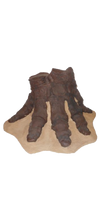 画像をギャラリービューアに読み込む, Mastodon foot cast replica Pleistocene. Ice Age