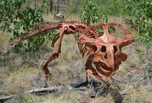 Protoceratops skeleton cast replica