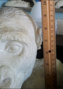 Gorilla: Juvenile Gorilla Bust Death cast Life cast