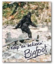 画像をギャラリービューアに読み込む, &quot;Autographed&quot; Bigfoot Patterson &quot;Patty&quot; Sasquatch photo picture