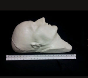 Napoleon: Life Cast Life Mask Death Cast of Napoleon Bonaparte