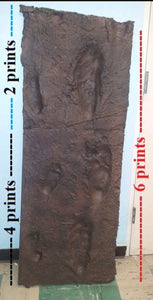 Laetoli Hominid Footprint tracks (4 tracks) impression casts