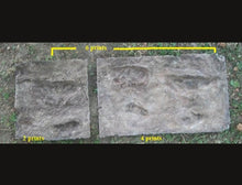 Load image into Gallery viewer, Laetoli Hominid Footprint tracks (4 tracks) impression casts