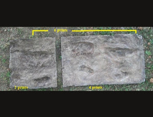 Laetoli Hominid Footprint tracks (4 tracks) impression casts