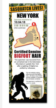 Load image into Gallery viewer, Bigfoot Novelty Bigfoot Sasquatch Hair Sample - Tracking Hunter Hunting -