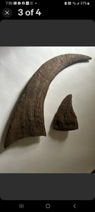 Woolly Rhino horns cast replicas