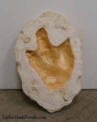 Allosaurus Dinosaur track cast replica #1