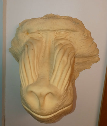Baboon: Mandrill Baboon #2 (male?) death cast replica Life cast