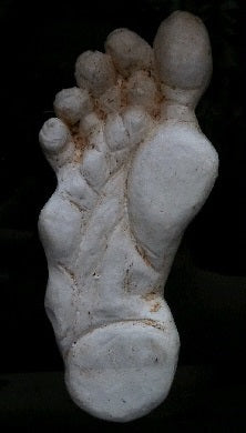 2005 Baby Bigfoot cast Bigfoot print cast