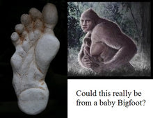Load image into Gallery viewer, 2005 Baby Bigfoot cast Bigfoot print cast