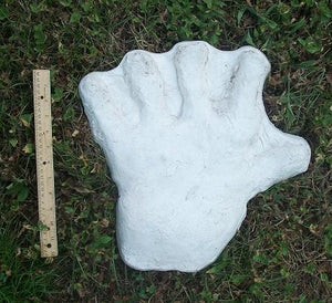 1970s  Bigfoot hand cast #2: XL hand (1970)