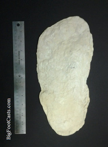 1967 Onion Mountain (Blue Creek) John Green Bigfoot cast replica