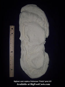1967 Bigfoot print Patty #3 Midtarsal Break Found by Bob Titmus 1967