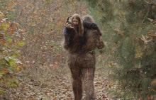 Laden Sie das Bild in den Galerie-Viewer, 2015 Stomping Ground Bigfoot Foot cast