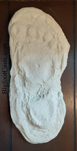 Load image into Gallery viewer, 1967 Bigfoot print Patty #3 Midtarsal Break Found by Bob Titmus 1967