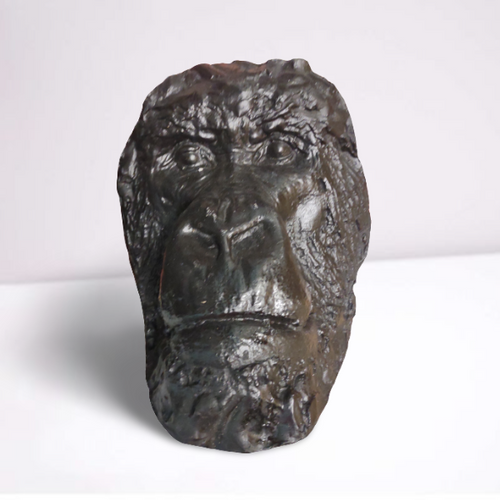 Gorilla Bust Death Cast Life cast #3  Carl Akeley Gorilla Death Mask