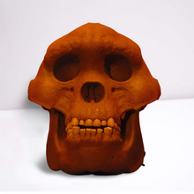 Load image into Gallery viewer, Bigfoot Skull Cast Artistic Interpretation by Master artist.
