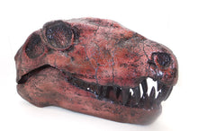 画像をギャラリービューアに読み込む, Dimetrodon skeleton cast replica 2 BYU Specimen