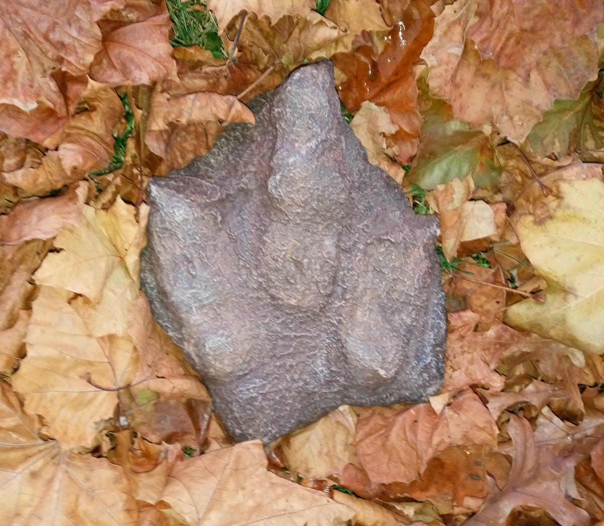 Theropod Dinosaur Footprint Track Cast Replica BigfootCasts
