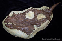 Load image into Gallery viewer, Rent a Dinosaur Exhibit!