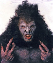 Cargar imagen en el visor de la galería, Gary Oldman Bat Bram Stokers Dracula Bat Life mask life cast Werewolf