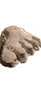 2001 Keuterville, Idaho Bigfoot print cast