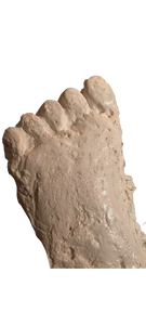 2001 Keuterville, Idaho Bigfoot print cast