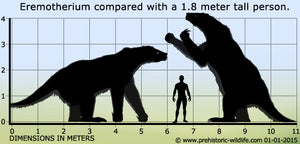 Eremotherium Ground Sloth claw cast replica with stand