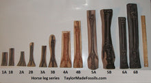 Load image into Gallery viewer, Horse legs and hooves cast replicas (Teaching quality) painted