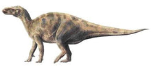 画像をギャラリービューアに読み込む, Altirhinus

Iguanodon Skull cast replica