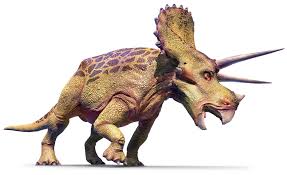 Triceratops Nose Horn 15" Cast replica #1