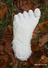 Laden Sie das Bild in den Galerie-Viewer, 2001 Keuterville, Idaho Bigfoot print cast