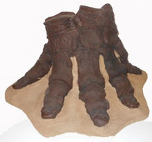 画像をギャラリービューアに読み込む, Mastodon foot cast replica Pleistocene. Ice Age