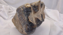 Load image into Gallery viewer, Mastodon tooth #2 Pleistocene. Ice Age