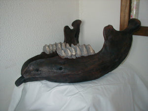 Mastodon jaw (mandible) cast replica Pleistocene. Ice Age
