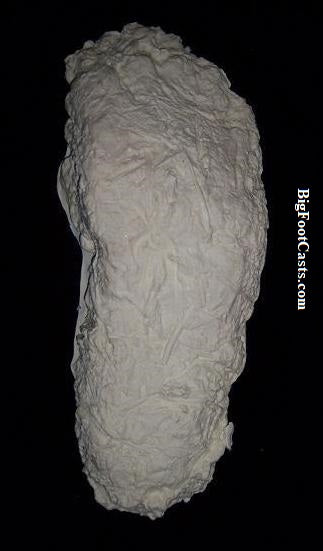 1996 Mill Creek Bigfoot print cast (Mills Creek)