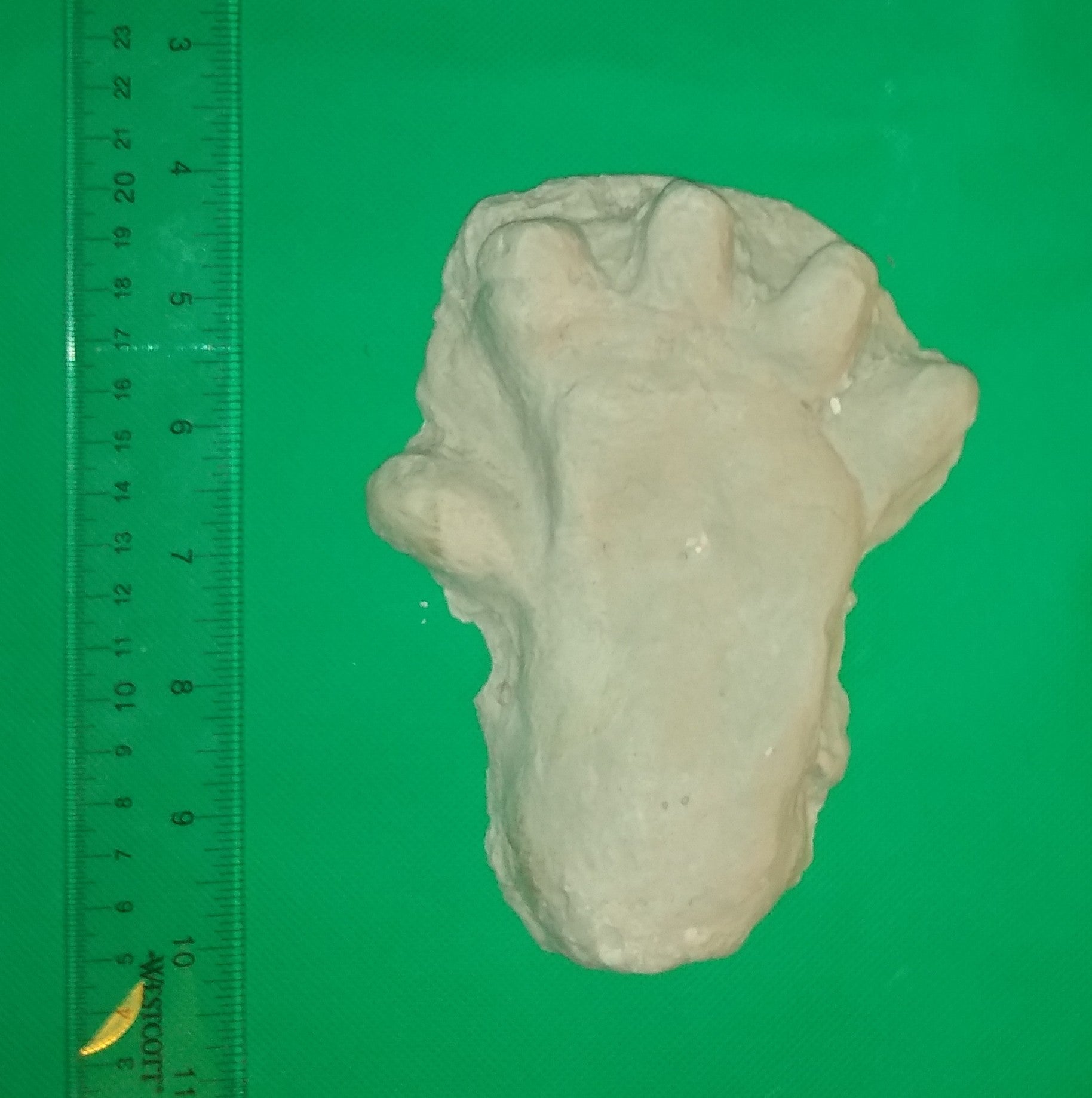 2013 Orang Pendek #2 footprint cast replica #2 – BigfootCasts.com, image size:1828x1838