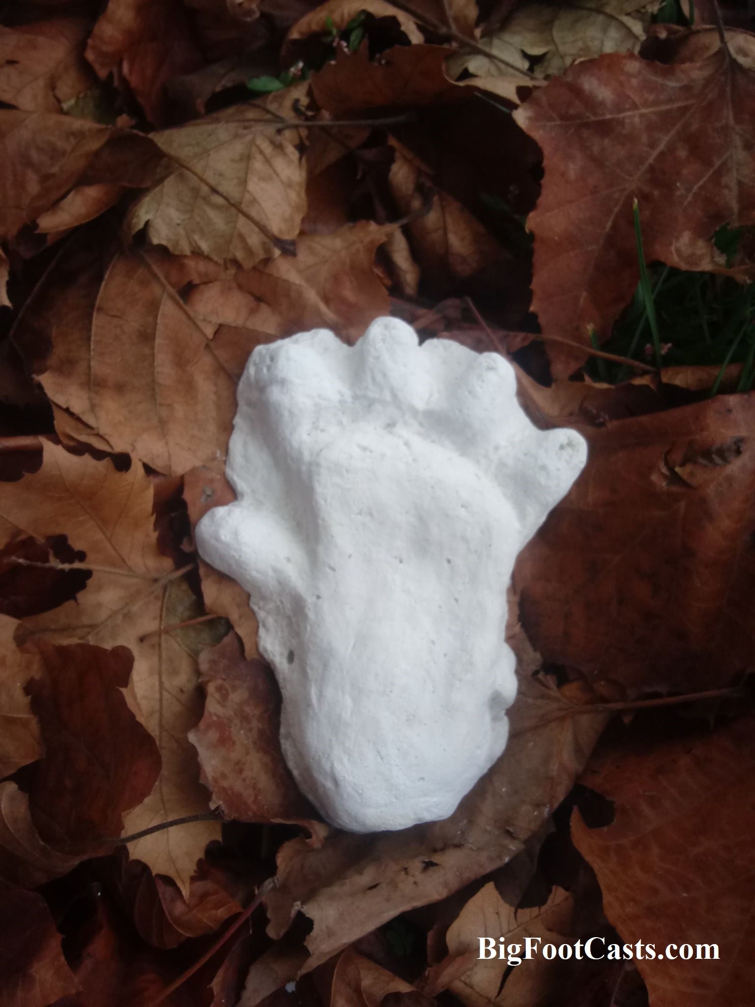 2013 Orang Pendek #2 footprint cast replica #2, image size:1536x2048