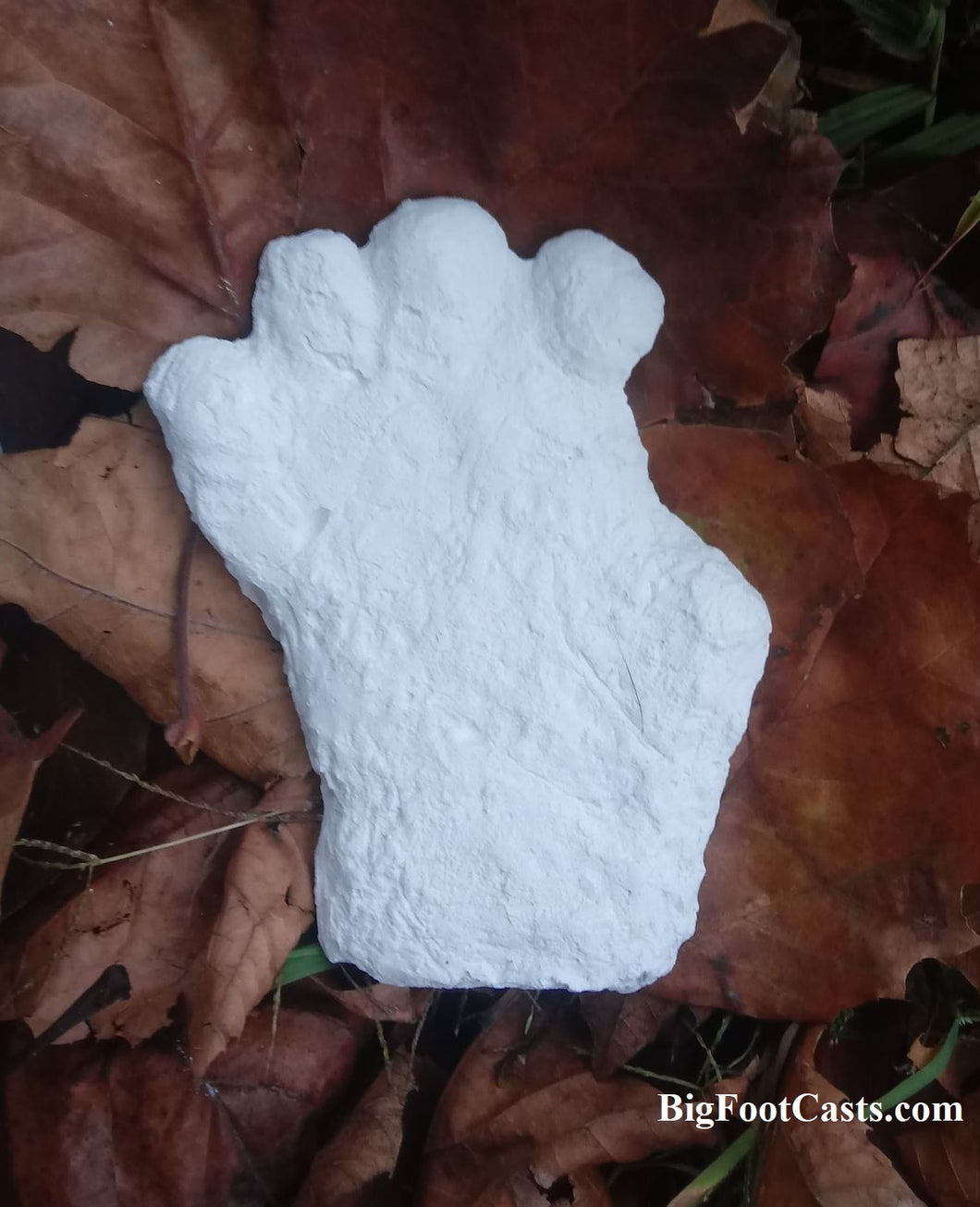 Orang Pendek Footprint cast #4