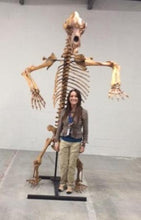 Load image into Gallery viewer, Cave Bear skeleton cast replica 10 ft tall!