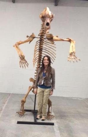 Cave Bear skeleton cast replica 10 ft tall!