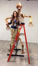 Load image into Gallery viewer, Cave Bear skeleton cast replica 10 ft tall!