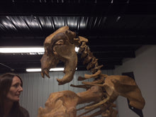 Load image into Gallery viewer, Cave Bear skeleton cast replica 10 ft tall!