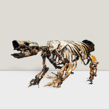 Load image into Gallery viewer, Paramylodon Harlan&#39;s Ground Sloth skeleton cast replica