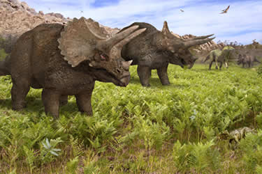 Triceratops Dinosaur Poster