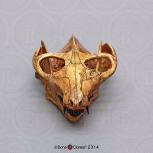 Cynodont - Probainognathus jenseni Skull cast replica (2024)