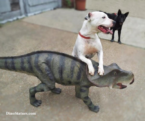 Protoceratops Dinosaur Statue Cast Replica Dinosaur Reproductions